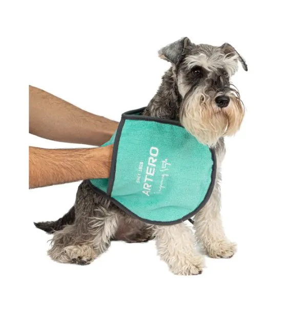 Artero Pockets Turquoise Zumba Towel (Small) For Dogs & Cats