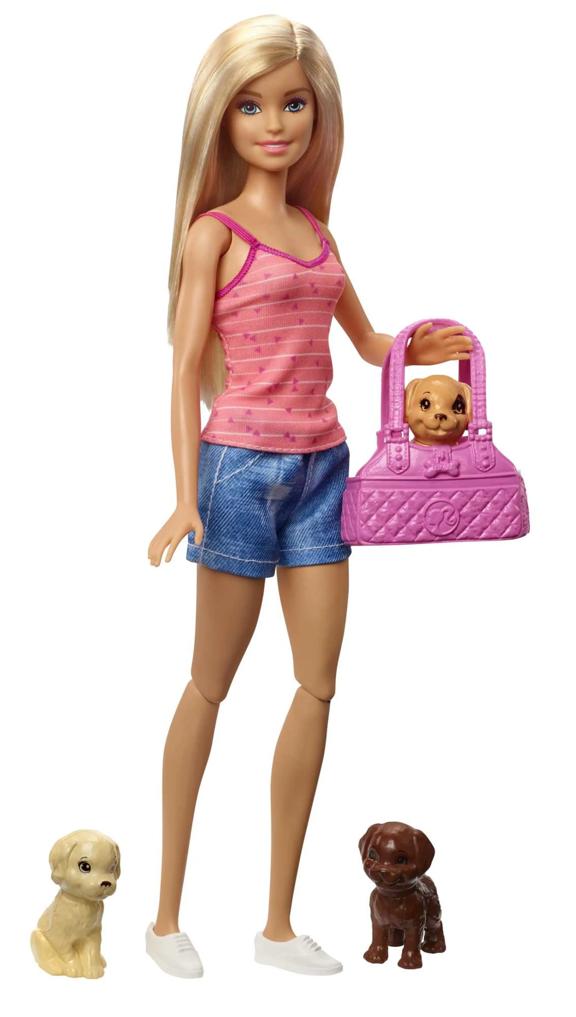 Barbie Doll & Accessories