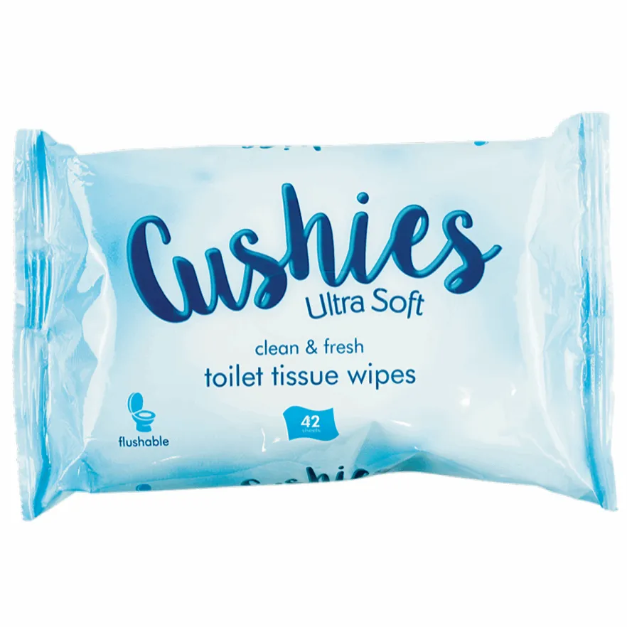 Classic Flushable Toilet Wipes, 42 Pack