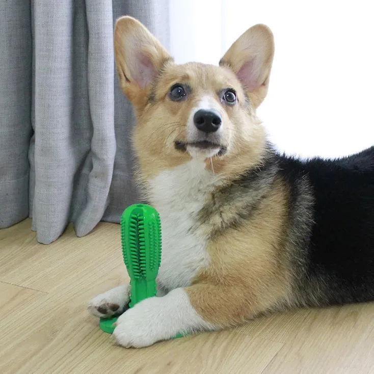 Dog Toothbrush Toy