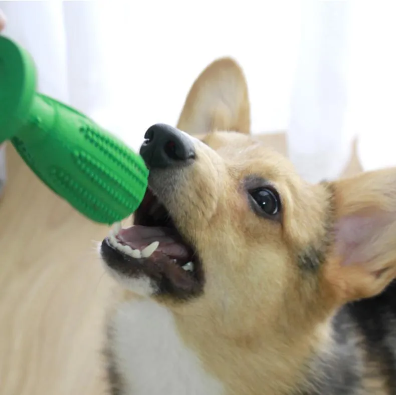 Dog Toothbrush Toy