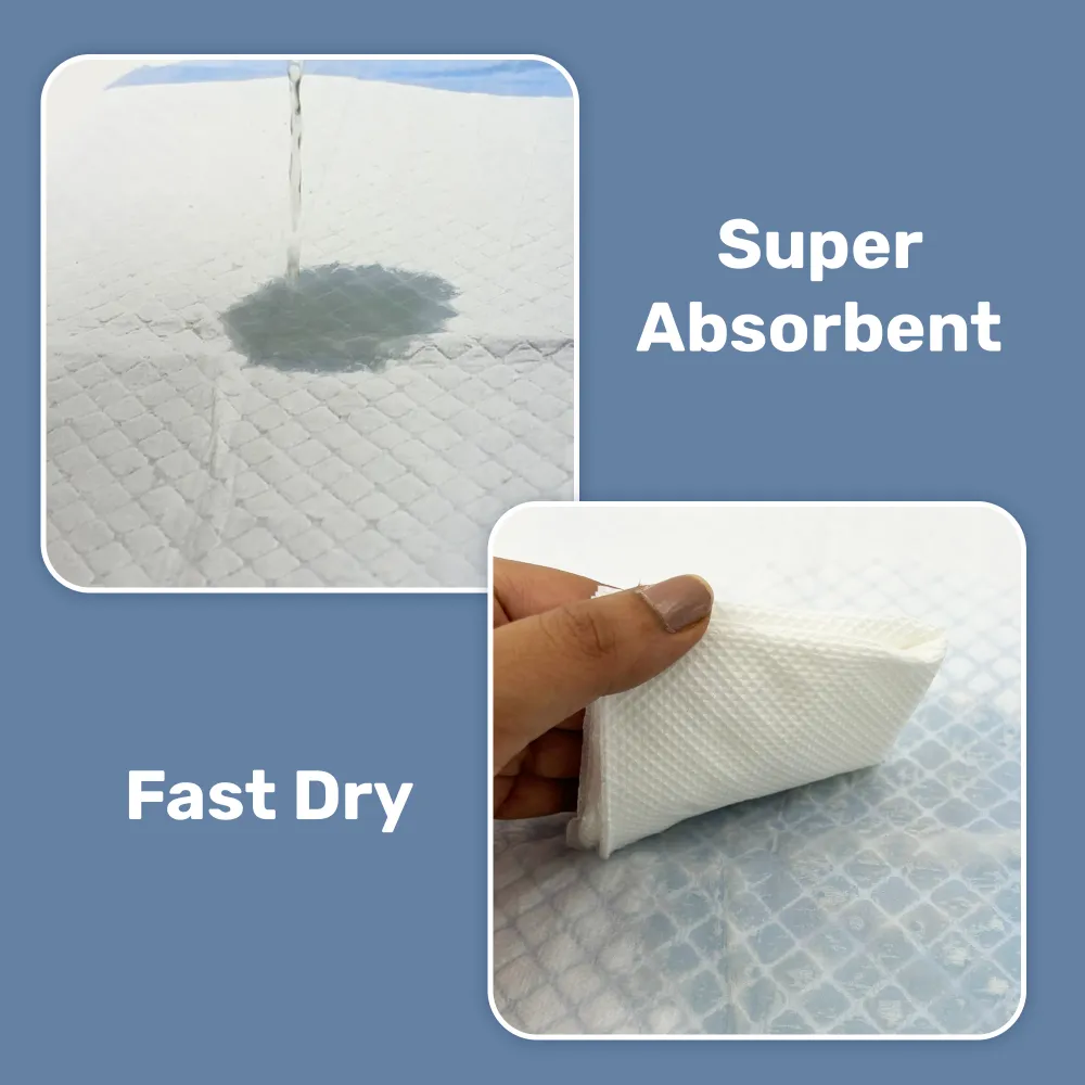 Kibbo Ultra Absorbent Leak Proof Training Pads for Dogs & Cats (45x60cm)