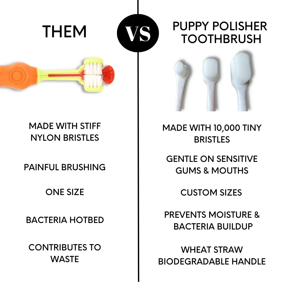 Puppy Polisher Eco Toothbrush - (Medium)