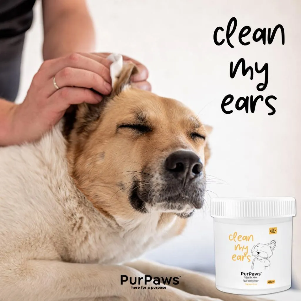 Purpaws Organic Pet Ear Wipes