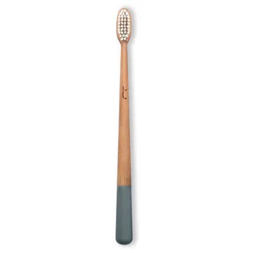 Truthbrush Bamboo Toothbrush - Bulk Buy